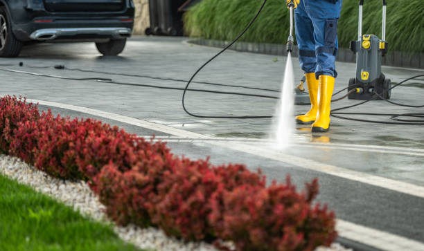 Best Fence Cleaning  in Carrollton, GA